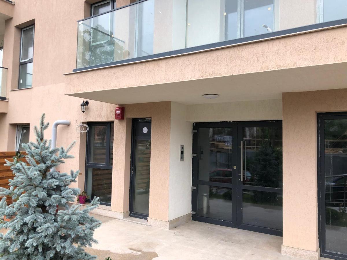 Cozy 2-Room Penthouse Lakeview W14 布加勒斯特 外观 照片